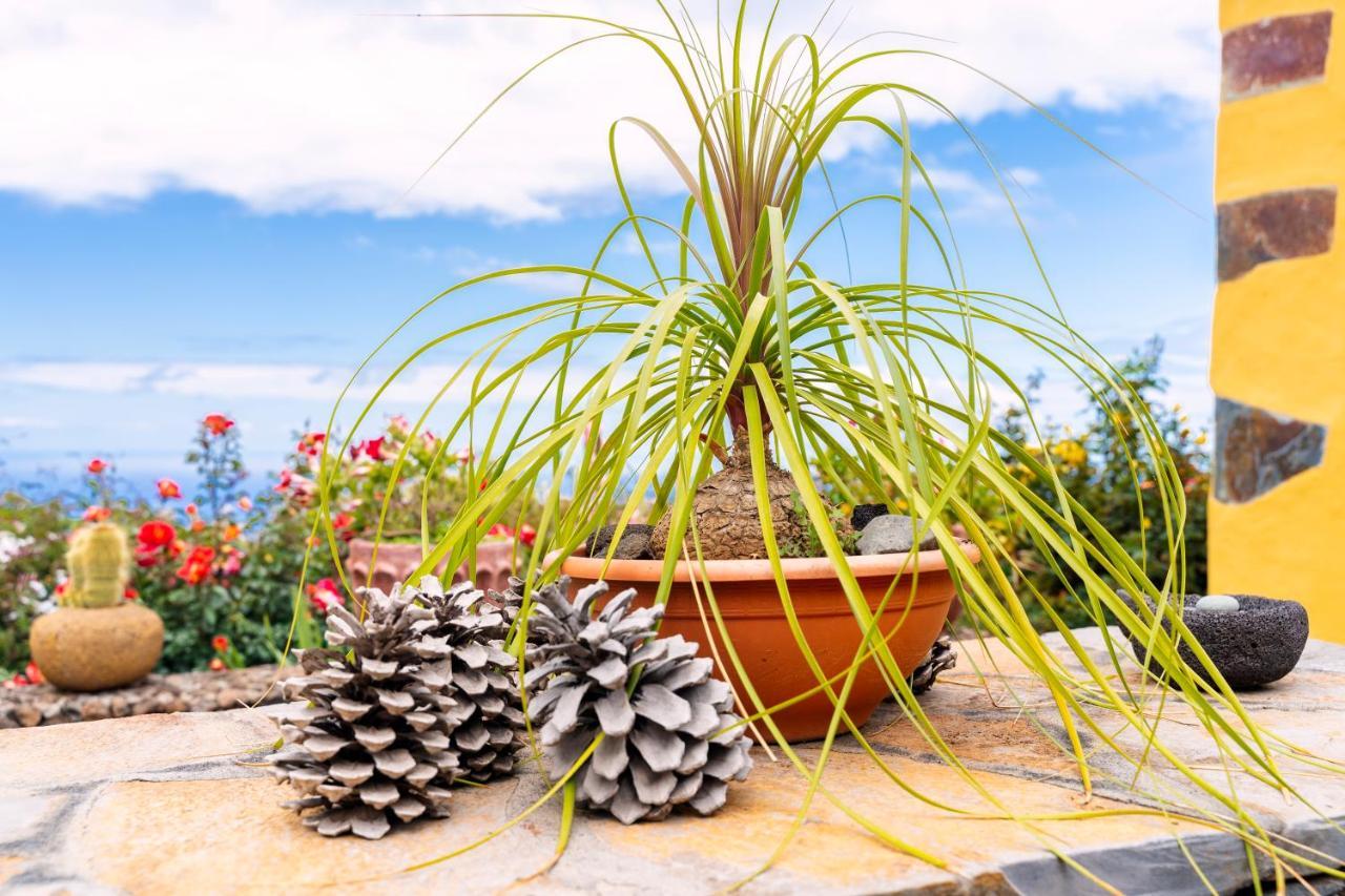 El Palmeral Tinizara Exteriör bild