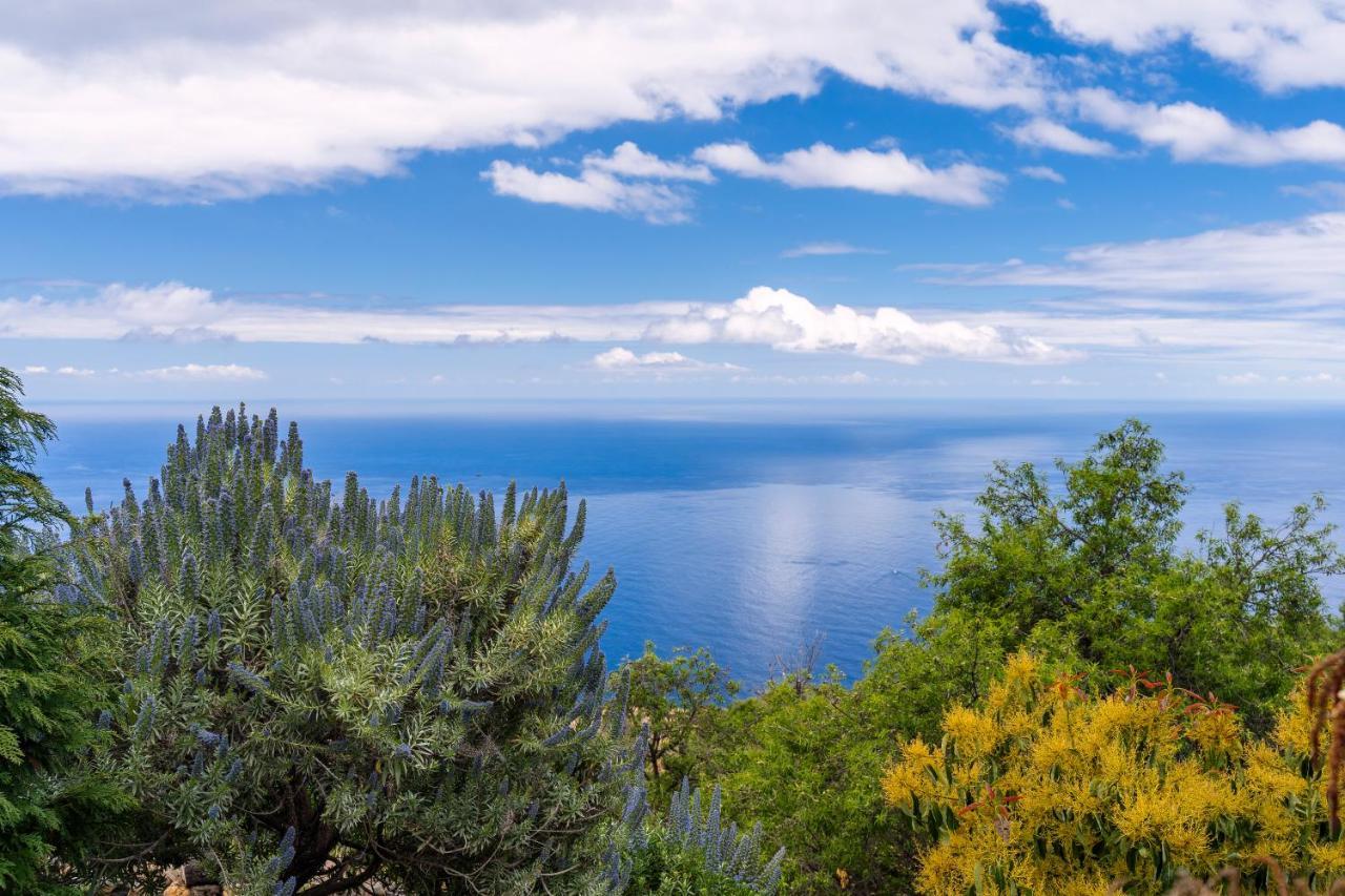 El Palmeral Tinizara Exteriör bild